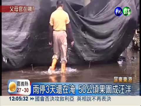 東港水還沒退! 50公頃果園變水塘