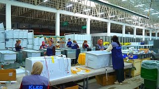 La diversificación industrial y la expansión de las exportaciones dan forma a la huella del comercio