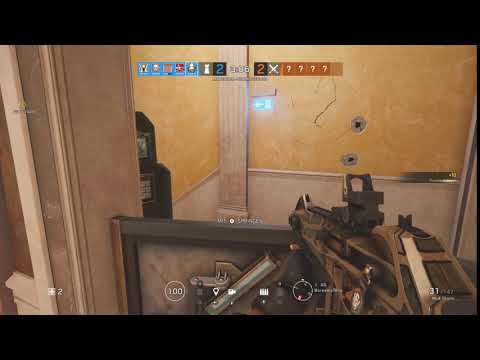 Alibi bait