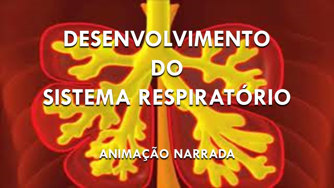 EMBRIOLOGIA DO SISTEMA RESPIRATÓRIO - DESENVOLVIMENTO DA TRAQUÉIA, BRÔNQUIOS E PULMÕES. Animação