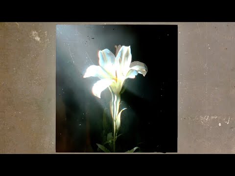 Netsky - Light That Leads Me (with Bebe Rexha)