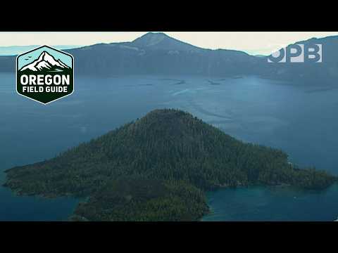 Wissenschaftler kämpfen um die Rettung der Weißstämmigen Kiefernwälder am Crater Lake | Oregon Fi...