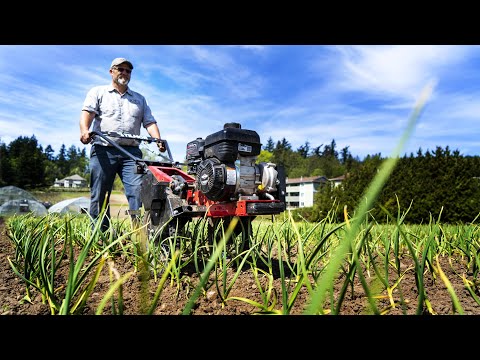 The Market Garden Farmer – Vegetable Farm Overview