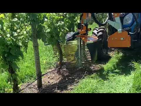 Provitis water shoot remover