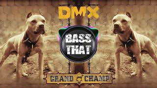 DMX - Rob All Night (If I&#39;m Gonna Rob) (Bass Boosted)