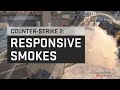 关于 Counter-Strike 2  电脑  INGAMEITEM 的游戏实况视频