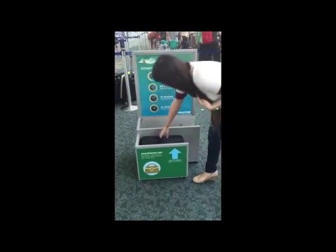 frontier airlines free bolsagage voucher