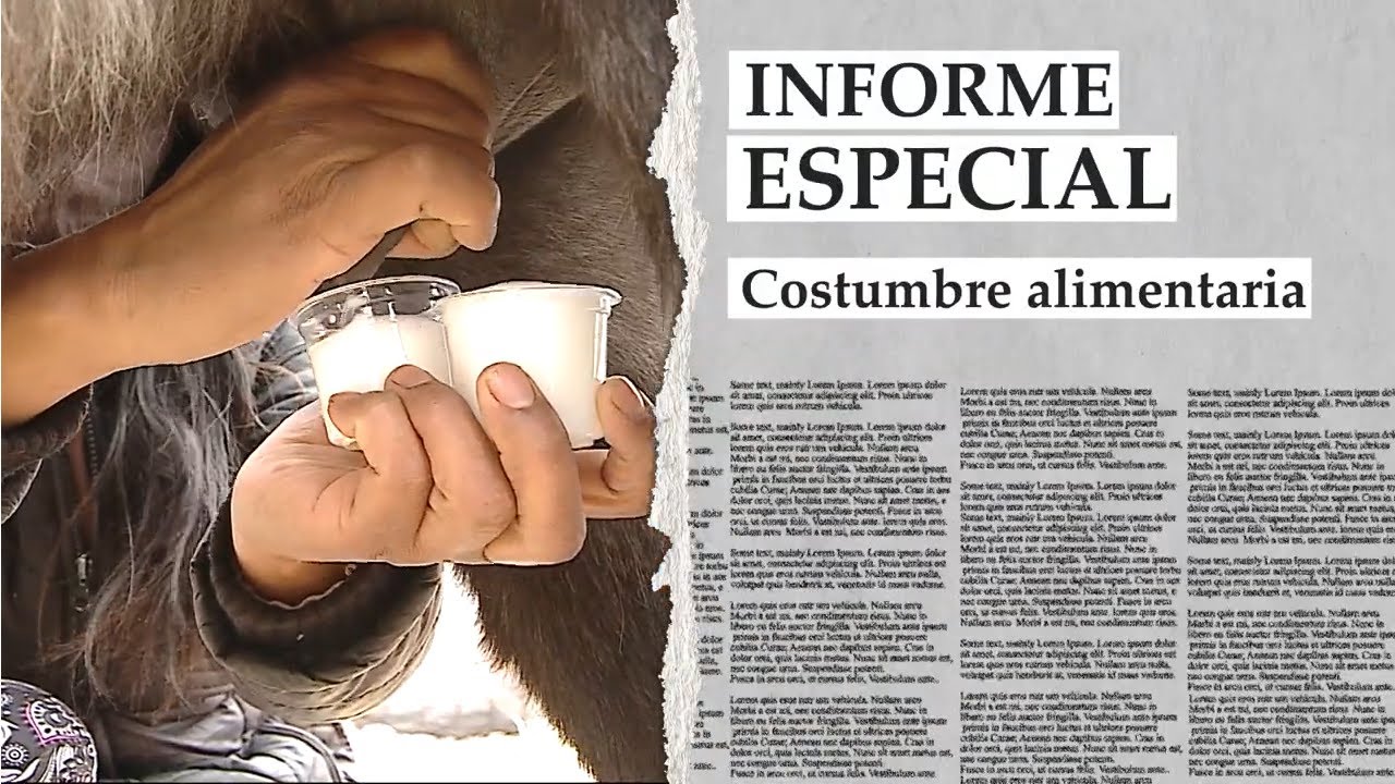 youtube video id=_y9TvuDf3Ko