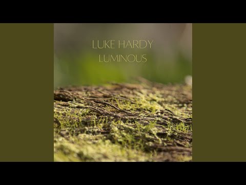 Luke Hardy - Do What I Want - Misc Originals