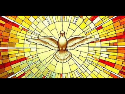 SANTA MISSA CRISMA 12/12/2025 19H30