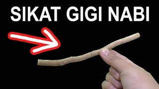 Download lagu 7 SIKAT UNIK BERMANFAAT UNTUK SEHARI HARI mp3 Download lagu 7 SIKAT UNIK BERMANFAAT UNTUK SEHARI HARI mp3