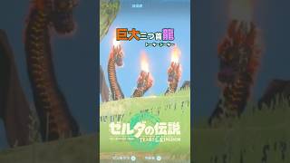グリオークと初対面 #ゼルダの伝説ティアーズオブザキングダム