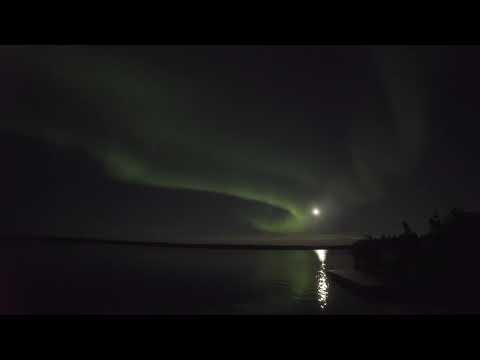 Resumo do filme Aurora, setembro de 2020