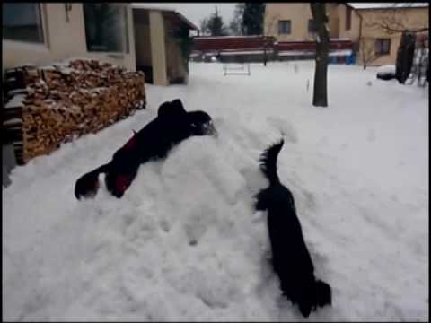 A padá a padá......., tak odklízíme sníh!