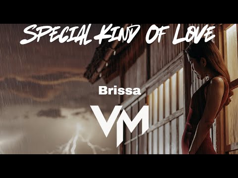 Special Kind Of Love - Brissa (Cover VueMix)