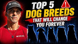 Top 5 Dog Breeds That Will Change You Forever