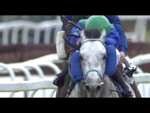 Momenti di...Premio Pisa