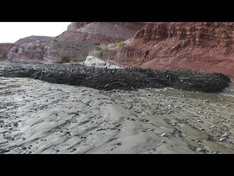 Amazing Flash Flood / Debris Flow Southern Utah HD Video