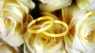 Spinning Roses   Two Rings Motion Background   VideoBlocks