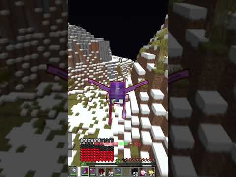 Trapping a Minecraft Pro On The Lifesteal SMP