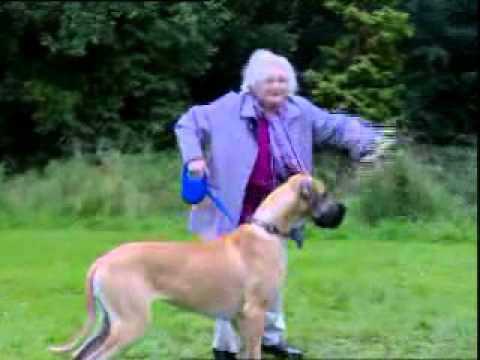 Granny Walks Dog