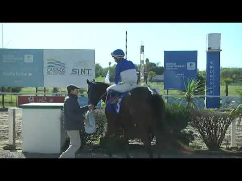 SINT COLONIA 230615 c01 - 1° SOÑADORA FT