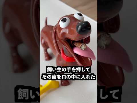 お尻から粒を出す犬のポンプを握力増強してからもめばすごい飛ぶはず！