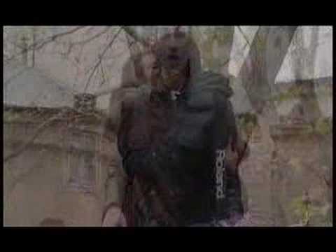 Sarmalele Reci - La televizor