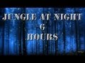 Relaxing Nature Sounds 2 Jungle At Night 6 Hours