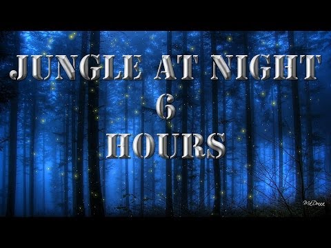 Relaxing Nature Sounds 2 - Jungle At Night | 6 Hours