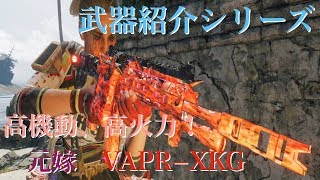 【CoD BO4】武器紹介シリーズ　高機動！高火力！VAPR-XKG