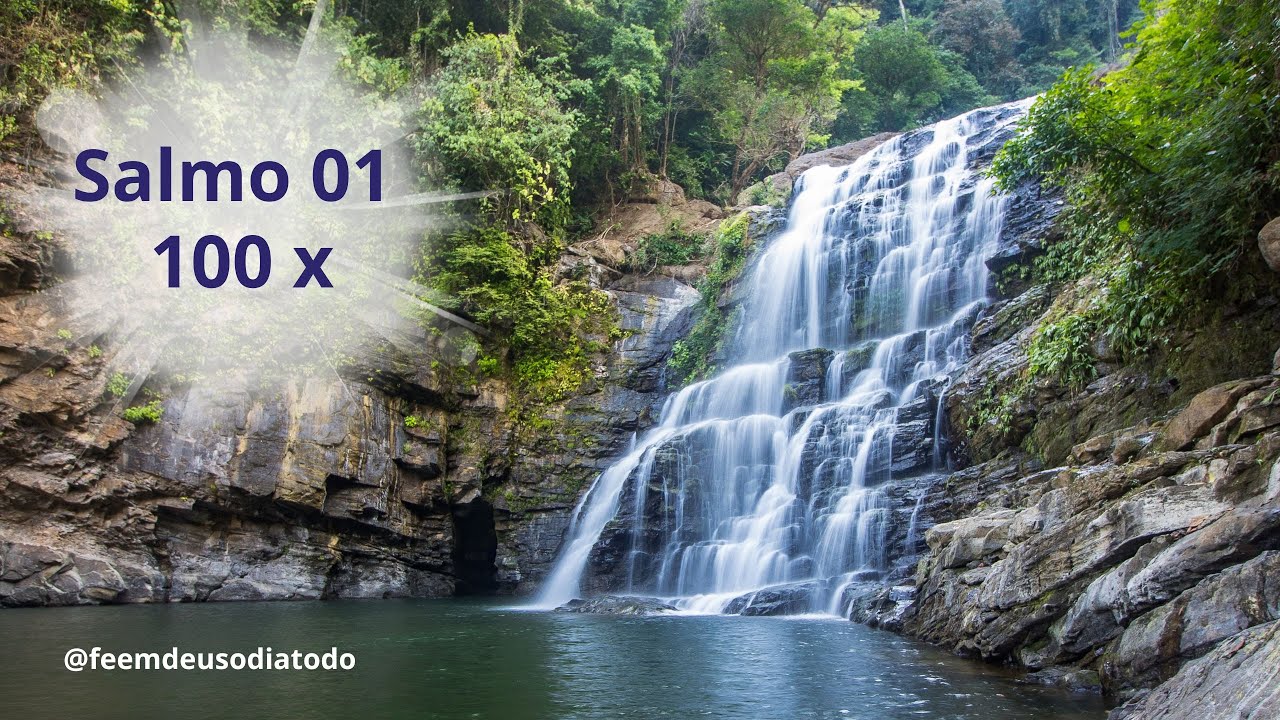 Salmo 1 100 vezes