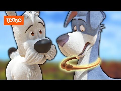 Idefix Deutsch | Turbines Wendelhalsring | Ganze Folge | TOGGO Serien