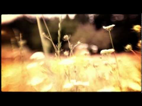 Girl in a Coat - Blitzen Trapper