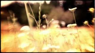 Blitzen Trapper - Girl In A Coat [OFFICIAL VIDEO]