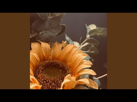 Video thumbnail for YELLOW