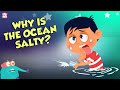 Why Is Ocean Water Salty? | Earth's Ocean | Dr Binocs Show | Peekaboo Kidz