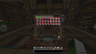 Admins DISABLED Gemstone Selling (hypixel skyblock)