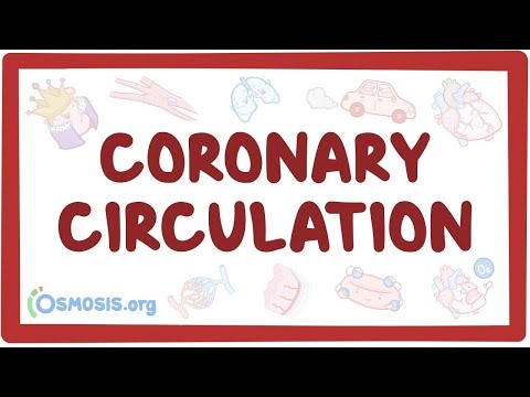 Coronary circulation - an Osmosis Preview