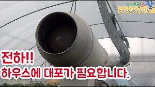 하우스 온도 관리법 정말 잘하고 계신가요? 지금까지 방법은 개나 줘버려!! 온도 실패 일액현상 증가 곰팡이병…