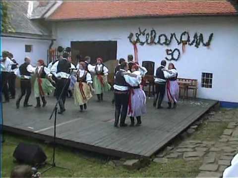 Včelaran 50 Topolná 2010b.mpg