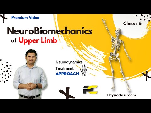 Conceptual Framework of Neurodynamics Treatment Approach The 3 Part System