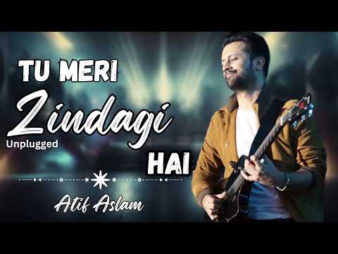 Tu Meri Zindagi hai | Aashiqui | Atif Aslam | Super Hit Song | Hindi Super Hit Songs | Romantic Song
