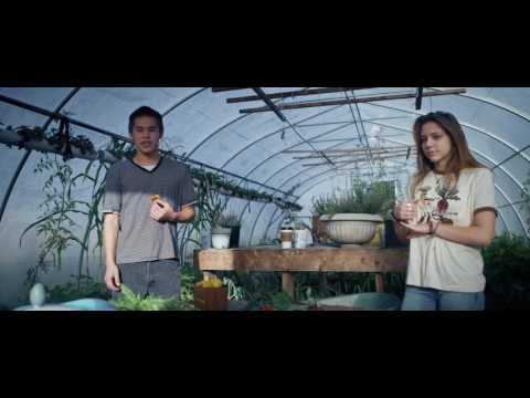 Local Foods to School: Reconnecting the children of Haida Gwaii to their land and their food.