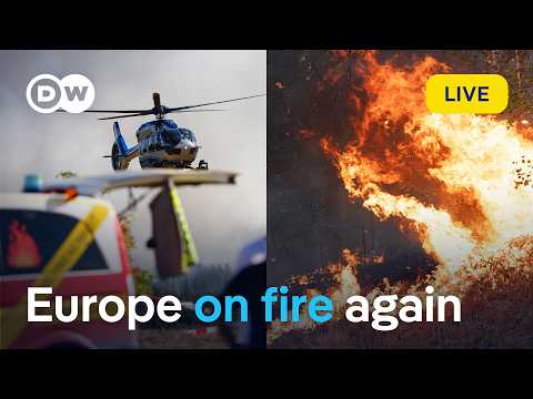 From Germany to the Mediterranean: How can fires be prevented? | DW News