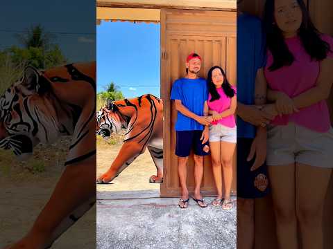 Foi por pouco #humor #comedia #shorts