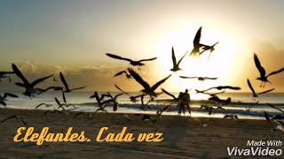 Elefantes- Cada vez