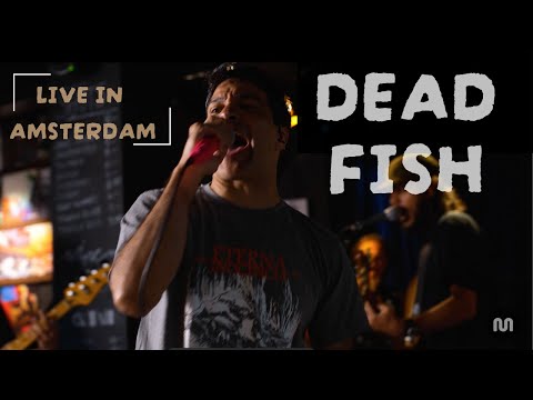Dead Fish  (Full Session) - Capim Session - Live in Amsterdam. Ao vivo