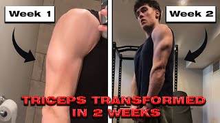 EXACTLY HOW I TRANSFORMED MY TRICEPS IN 2 WEEKS