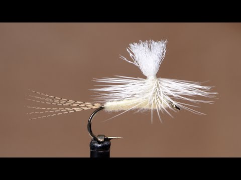 Light Cahill Parachute